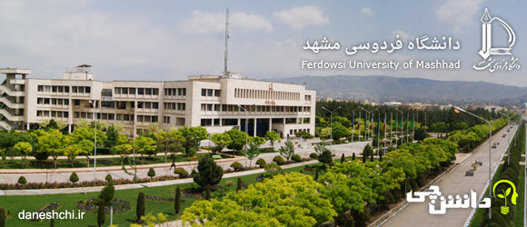 دانشگاه فردوسی 